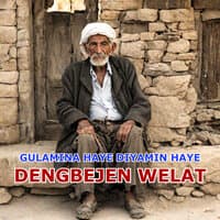 Gulamına Haye Diyamın Haye