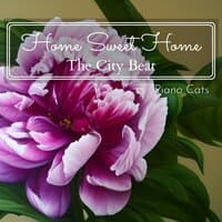 Home Sweet Home - The City Beat