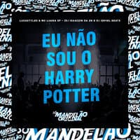 Eu Não Sou o Harry Potter