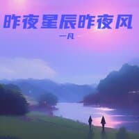 昨夜星辰昨夜风