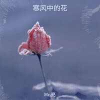 寒风中的花