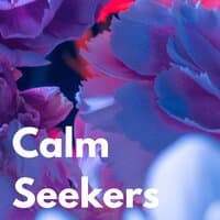 Calm Seekers Vol.2