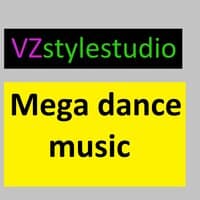 VZstylestudio