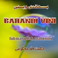 Bahandi Vini