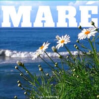 Maré