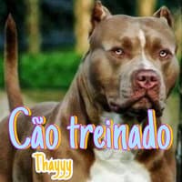 Cão Treinado