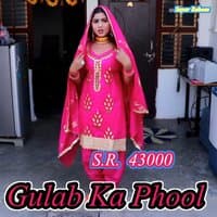 S.R. 43000 Gulab Ka Phool