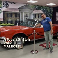 A Touch of Elvis Vol 2