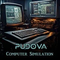 Computer Simulation