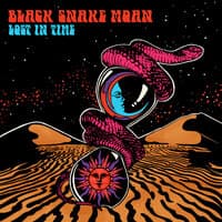 Black Snake Moan