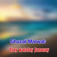 Tray watalay Janazay