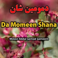 Da Momeen Shana