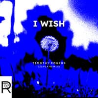 I Wish - Zep1a Remix