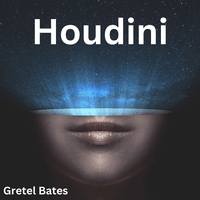 Houdini