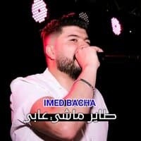 طاير ماشي عابي