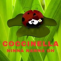 Coccinella Ninna Nanna Oh