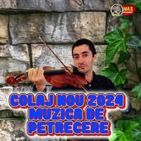 Colaj Nou 2024 Muzica de Petrecere