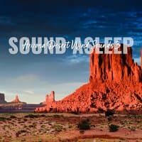 Sound Asleep: Arizona Desert Wind Sounds 3