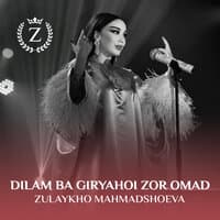 Dilam Ba Giryahoi Zor Omad