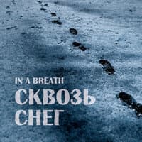 Сквозь снег