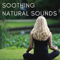 Soothing Natural Sounds