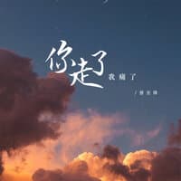 你走了我痛了