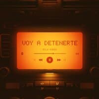 Voy a detenerte