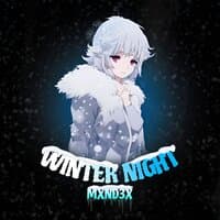 WINTER NIGHT