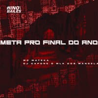 Meta pro Final do Ano