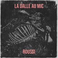 LA DALLE AU MIC