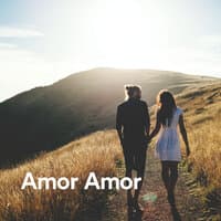 Amor Amor - Música para Amar