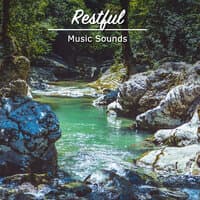 #15 Restful Music Sounds to Promote Wellness & Heal Chakras