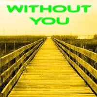 Without You