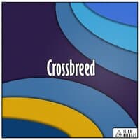 Сrossbreed