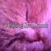 51 Calming Sleep Sounds