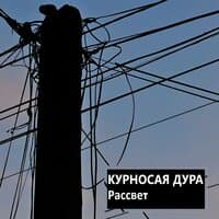 Рассвет