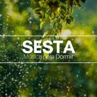 Sesta - a Melhor Música para Dormir, Tratamento para Insônia, Ansiedade, Estresse