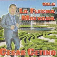 La Flecha Malvada