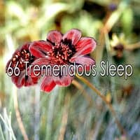 66 Tremendous Sleep