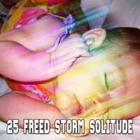 25 Freed Storm Solitude