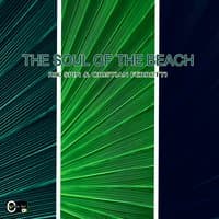 The Soul of the Beach