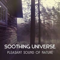 Soothing Universe – Pleasant Sound of Nature for Restore Harmony and Deep Relaxation Your Body, Personal Transformation, Awakened Mind