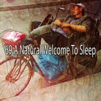 69 A Natural Welcome To Sleep