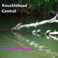 Knucklehead Central