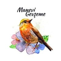 Manevi Gevşeme: Sessiz Yoga'dan Şifa Meditasyonuna