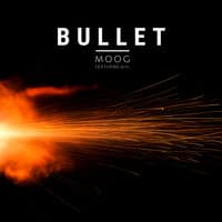 Bullet