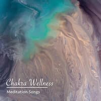 17 Chakra Wellness: Meditation Songs