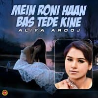 Mein Roni Haan Bas Tede Kine - Single