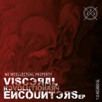 Visceral  Revolutionary Encounters