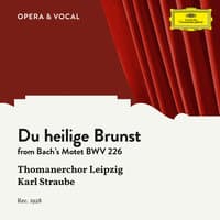 J.S. Bach: Du heilige Brunst